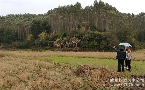 泰州陈老师带着爱徒寻龙点穴